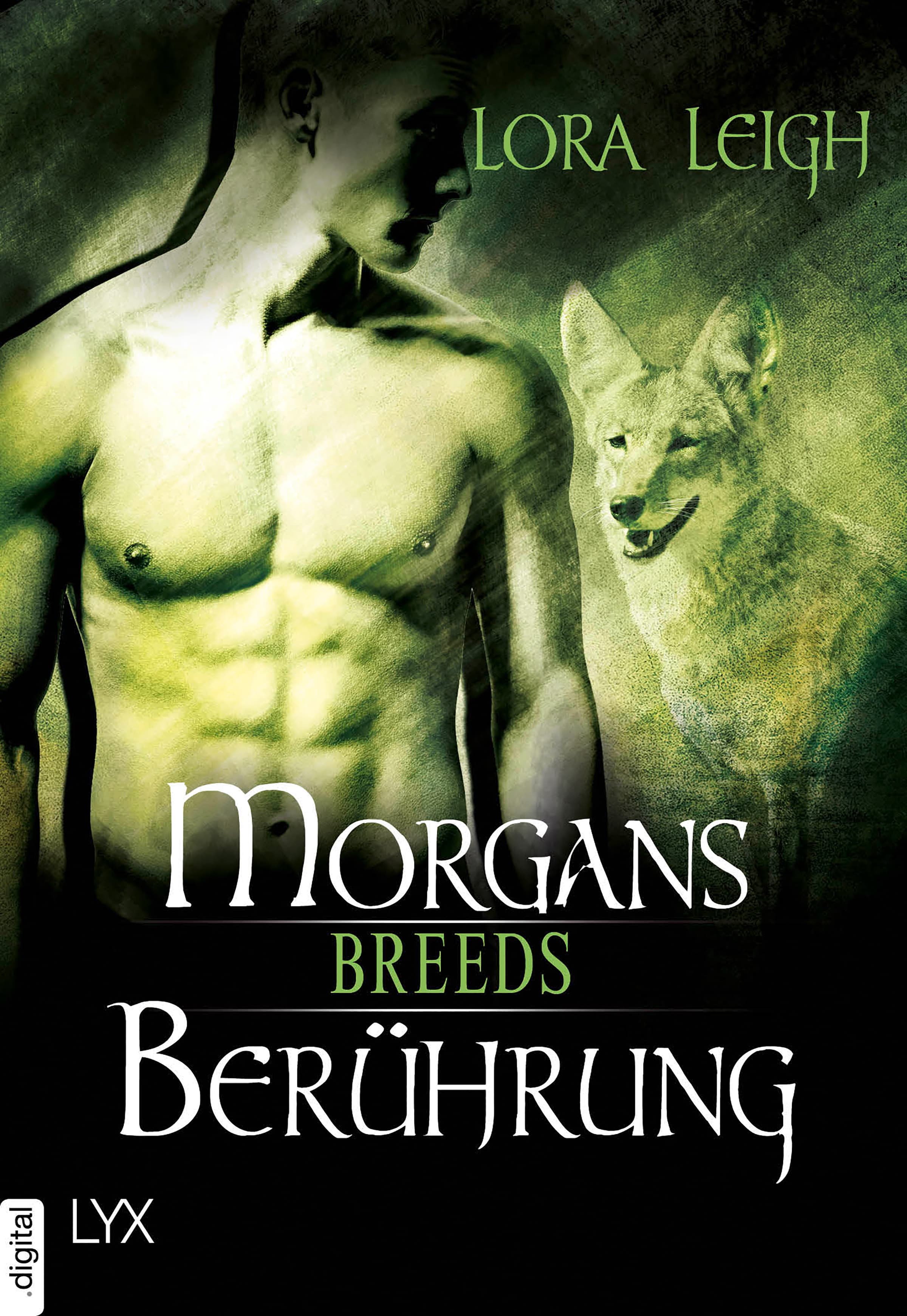 Breeds - Morgans Berührung