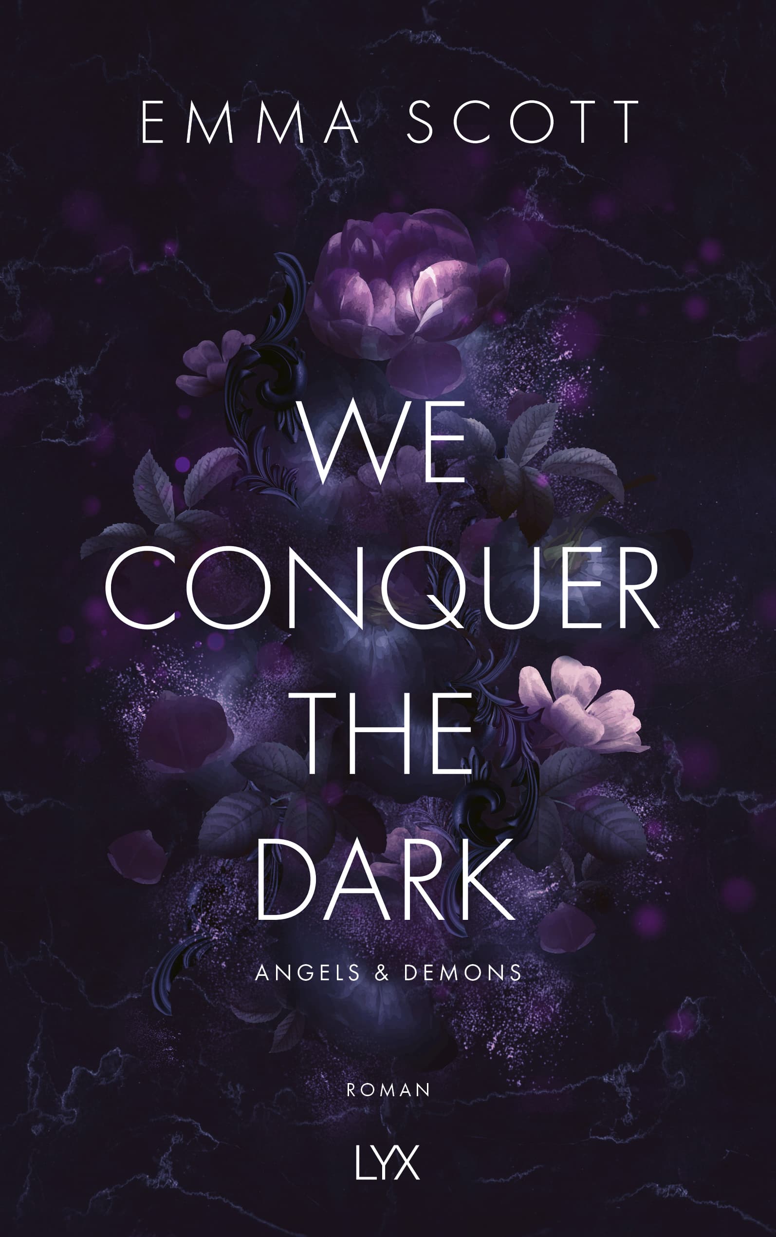 We Conquer the Dark