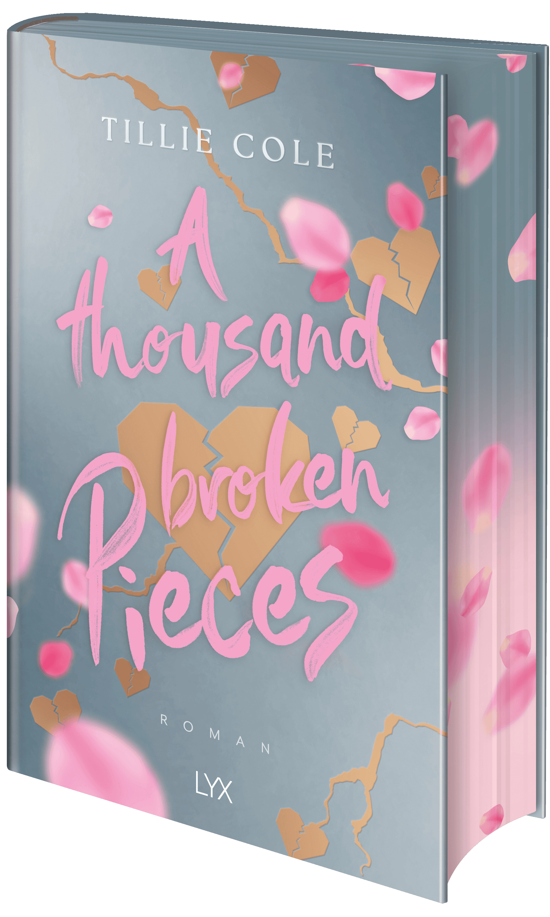 Produktbild: A Thousand Broken Pieces: Special Edition (9783736324831 )