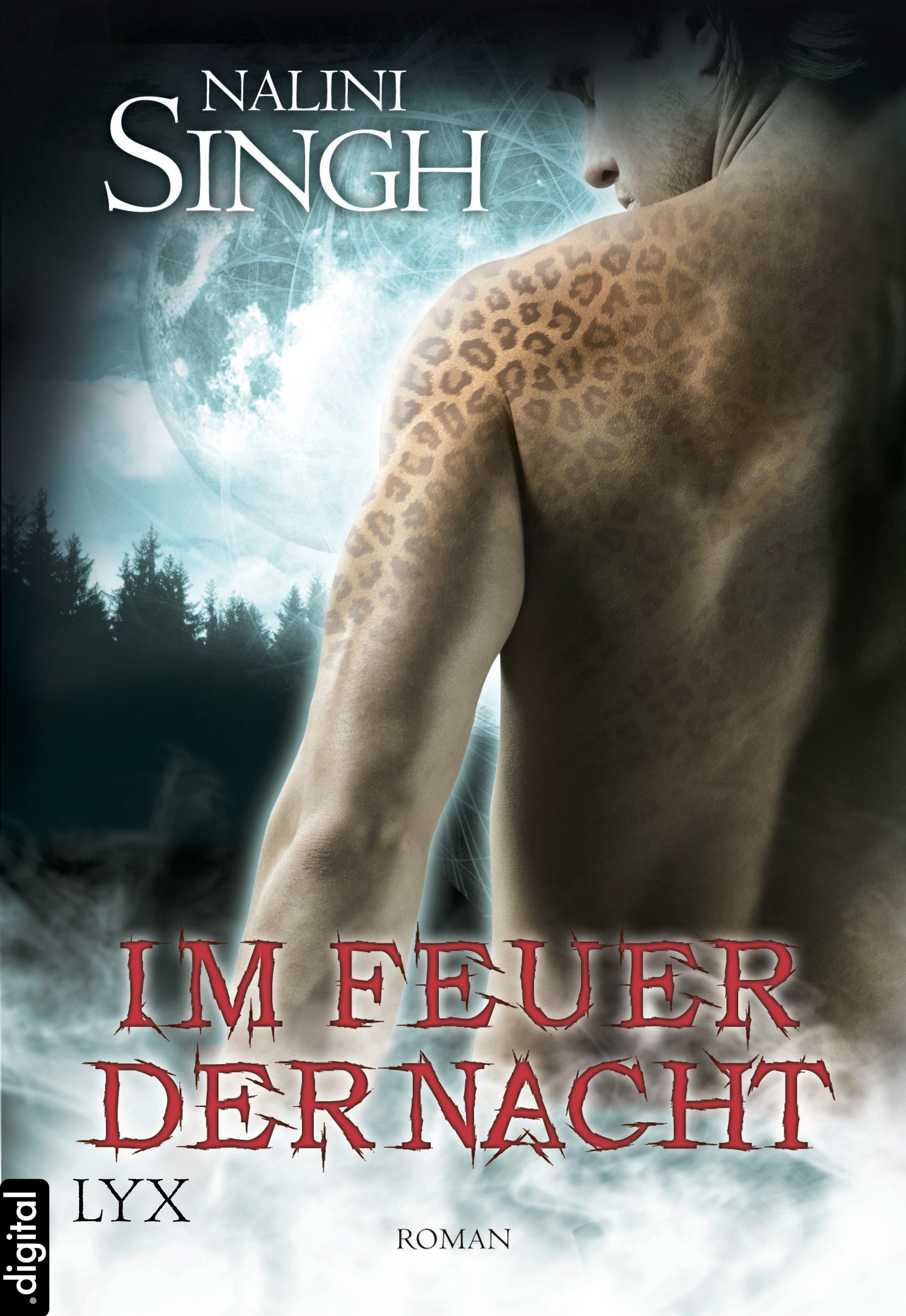 Produktbild: Im Feuer der Nacht (9783802584145 )
