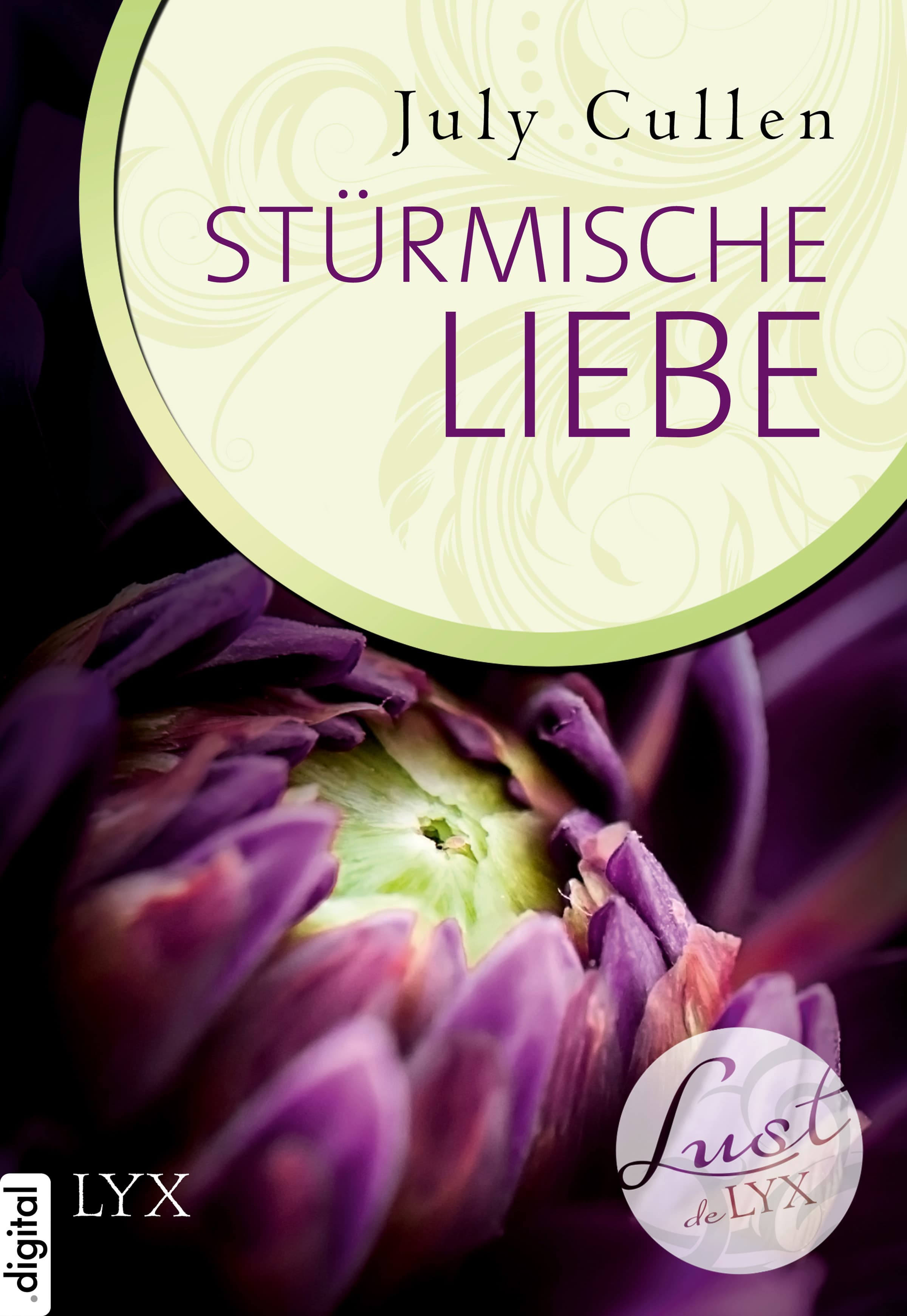 Produktbild: Lust de LYX - Stürmische Liebe (9783802595905 )