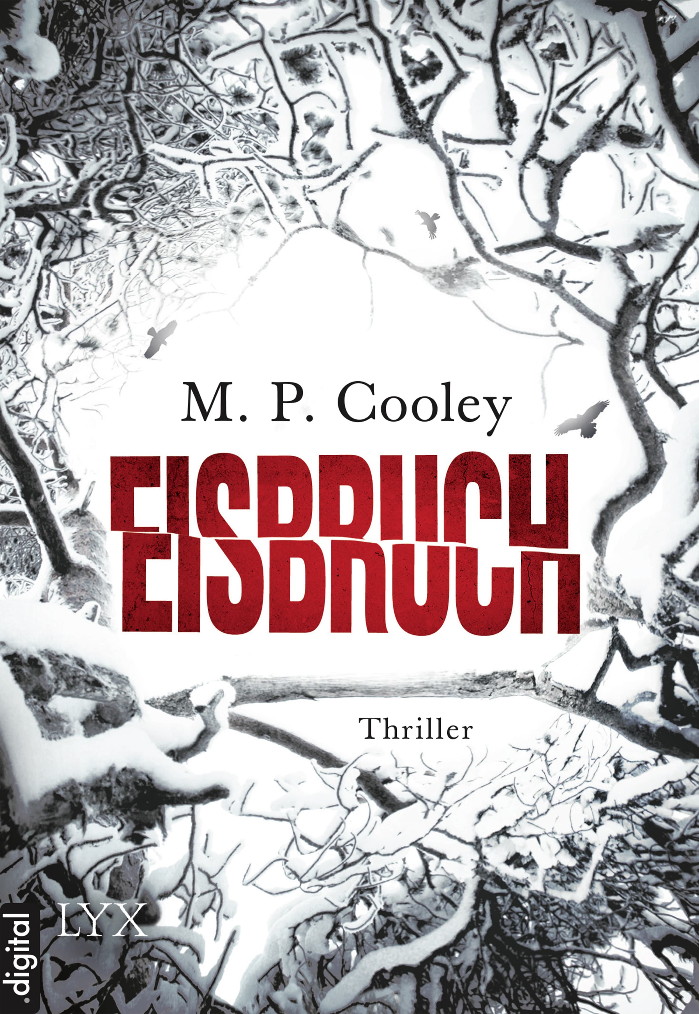 Produktbild: Eisbruch (9783802598623 )