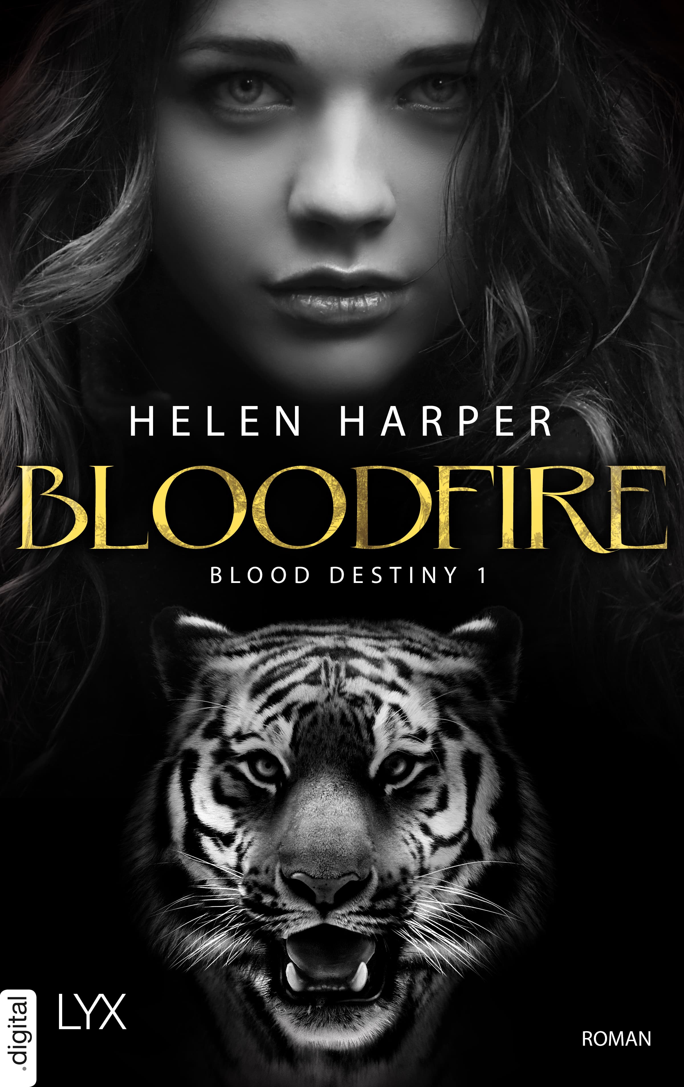 Produktbild: Blood Destiny - Bloodfire (9783736307230 )