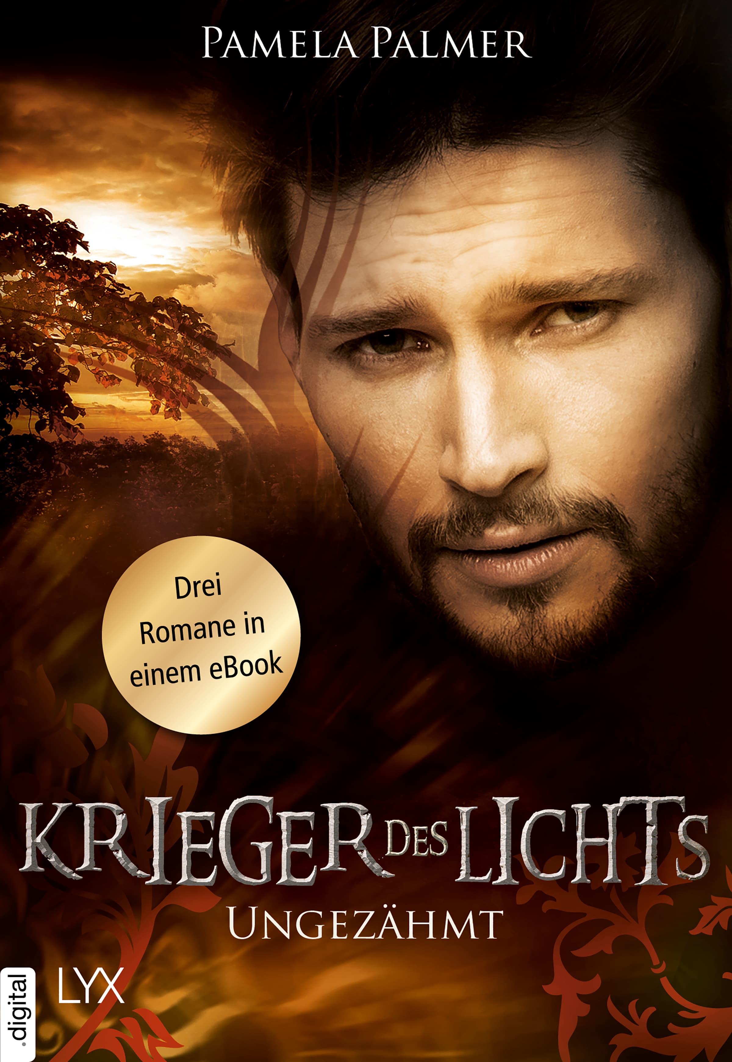 Produktbild: Krieger des Lichts - Ungezähmt (9783736305687 )
