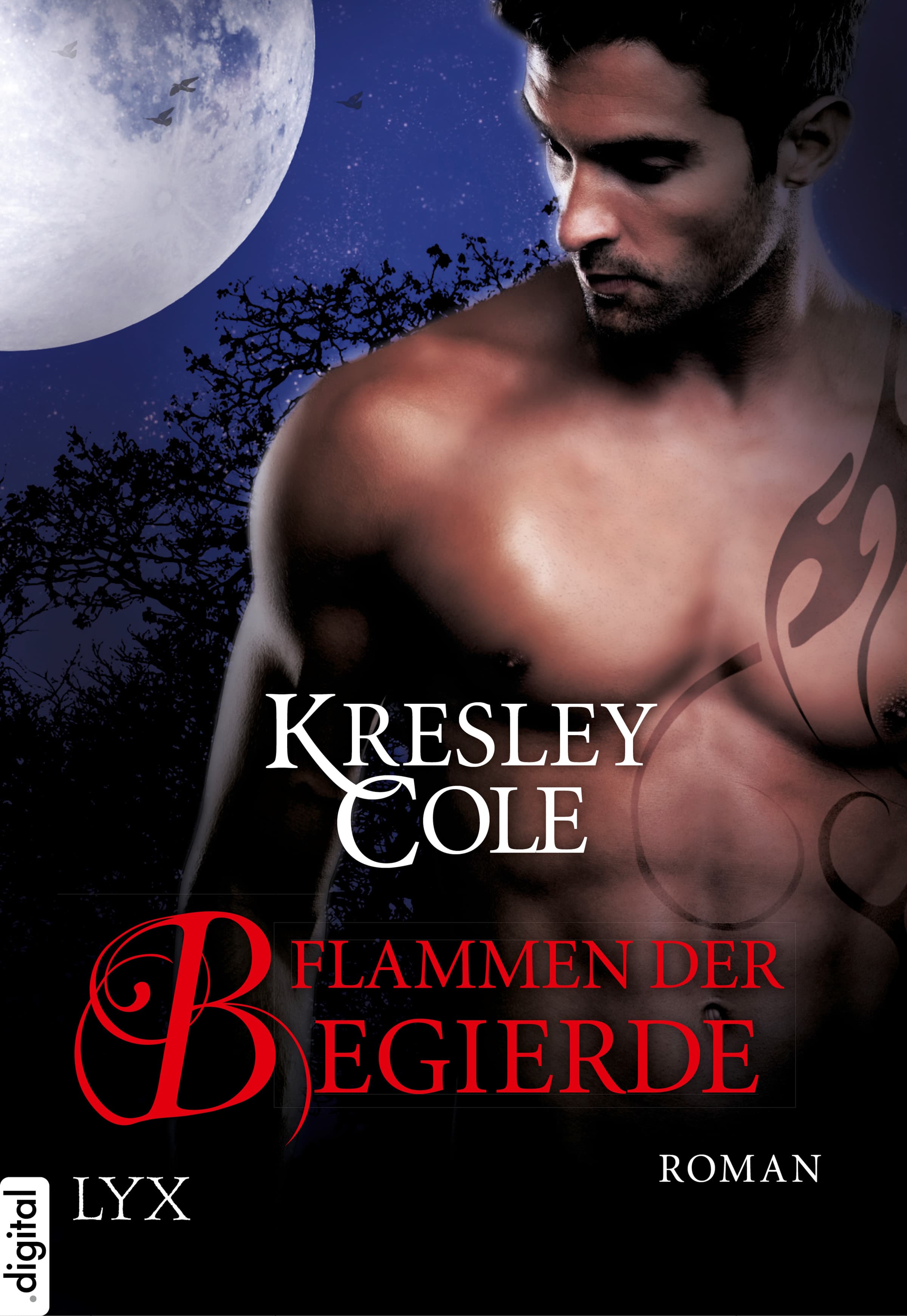 Produktbild: Flammen der Begierde  (9783802589218 )