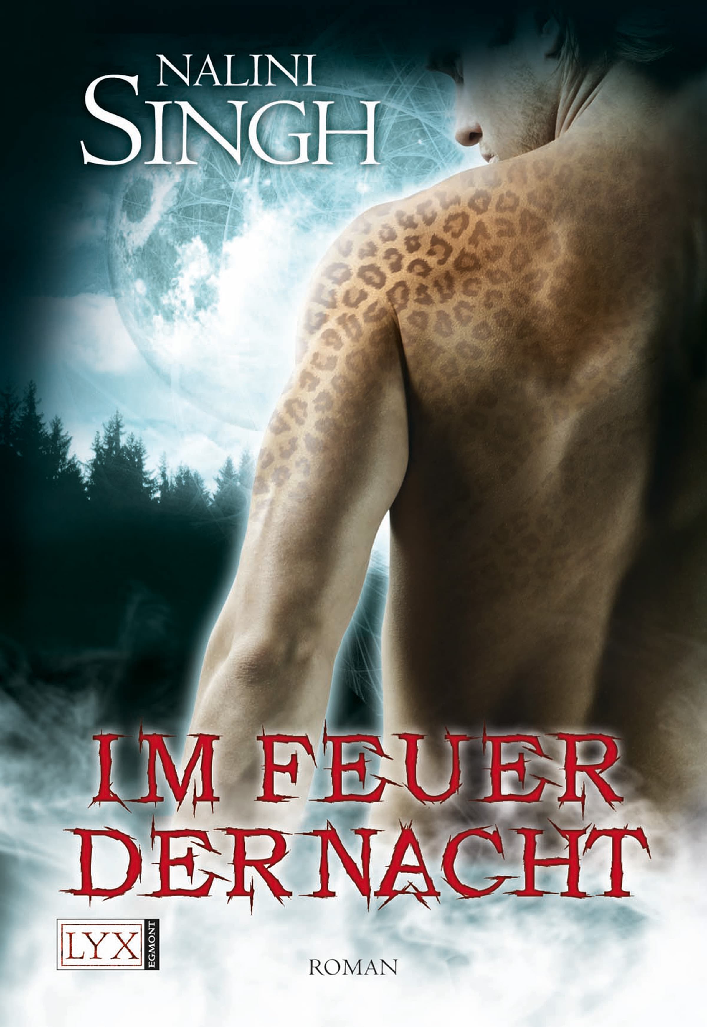 Produktbild: Im Feuer der Nacht (9783802582264 )